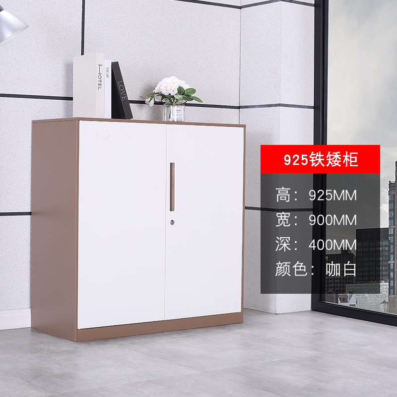 925咖白开门柜