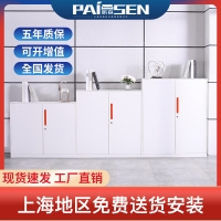 铁皮矮柜PS091005